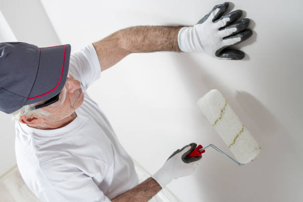 Reliable Varnville, SC Mold Removal Solutions