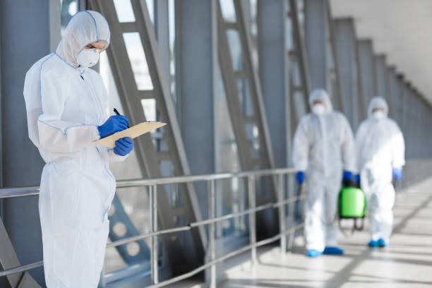 Best Mold Damage Restoration  in Varnville, SC