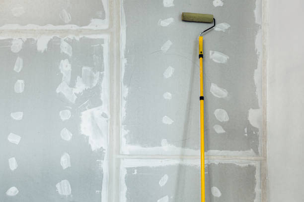 Best Mold Prevention Services  in Varnville, SC