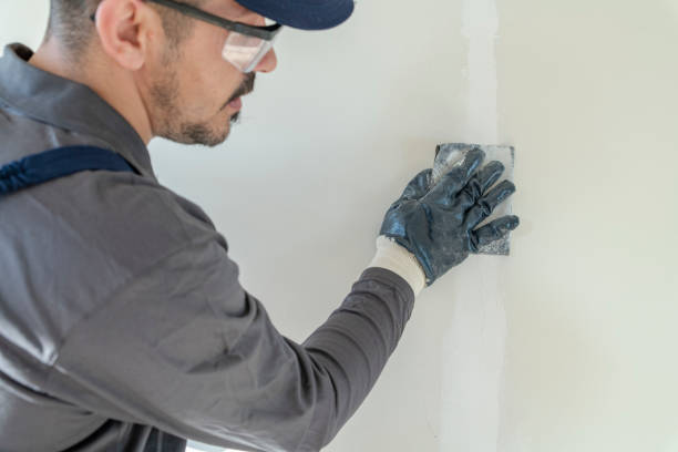 Varnville, SC Mold Removal Pros
