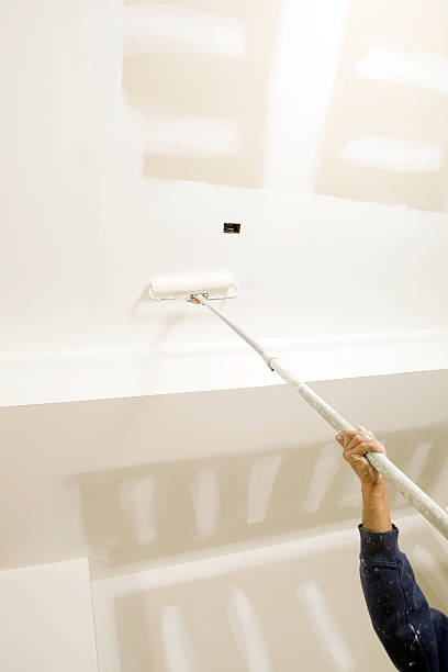 Best Mold Remediation for Healthcare Facilities  in Varnville, SC