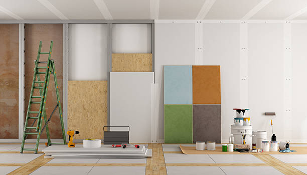 Best Post-Construction Mold Inspection  in Varnville, SC